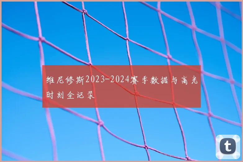 维尼修斯2023-2024赛季数据与高光时刻全记录