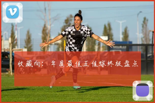 收藏向：年度最佳五佳球终极盘点