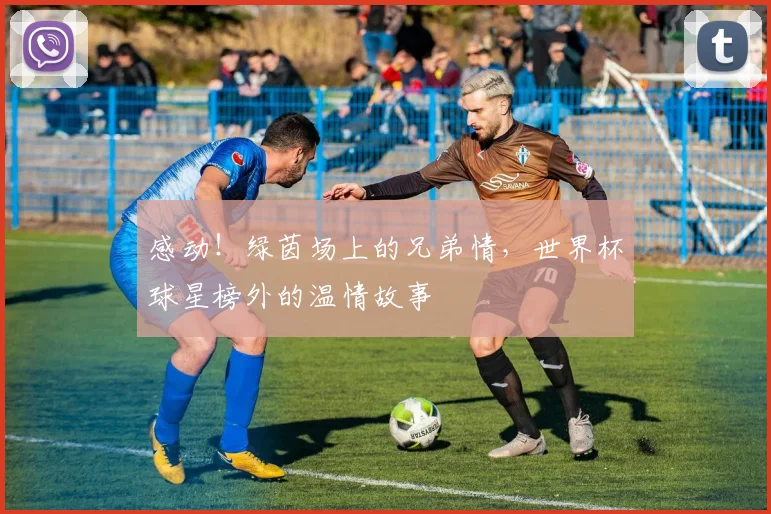 感动!绿茵场上的兄弟情,世界杯球星榜外的温情故事