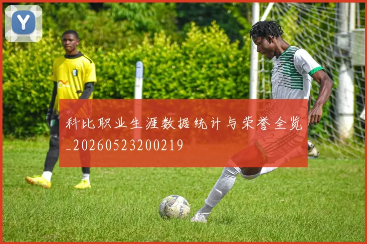 科比职业生涯数据统计与荣誉全览_20260523200219