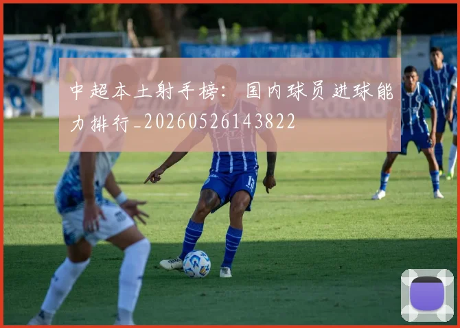 中超本土射手榜:国内球员进球能力排行_20260526143822