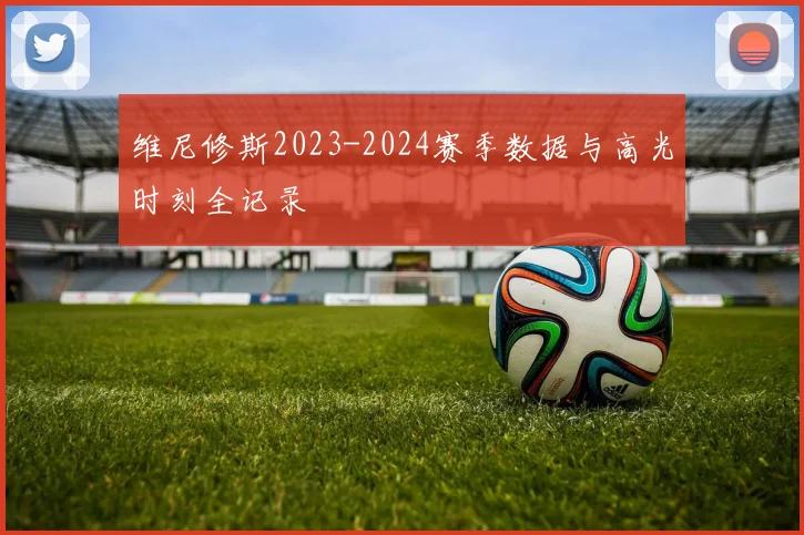 维尼修斯2023-2024赛季数据与高光时刻全记录