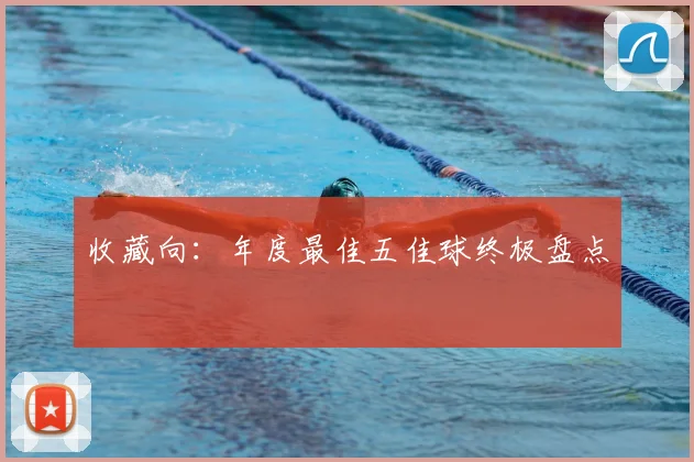 收藏向:年度最佳五佳球终极盘点